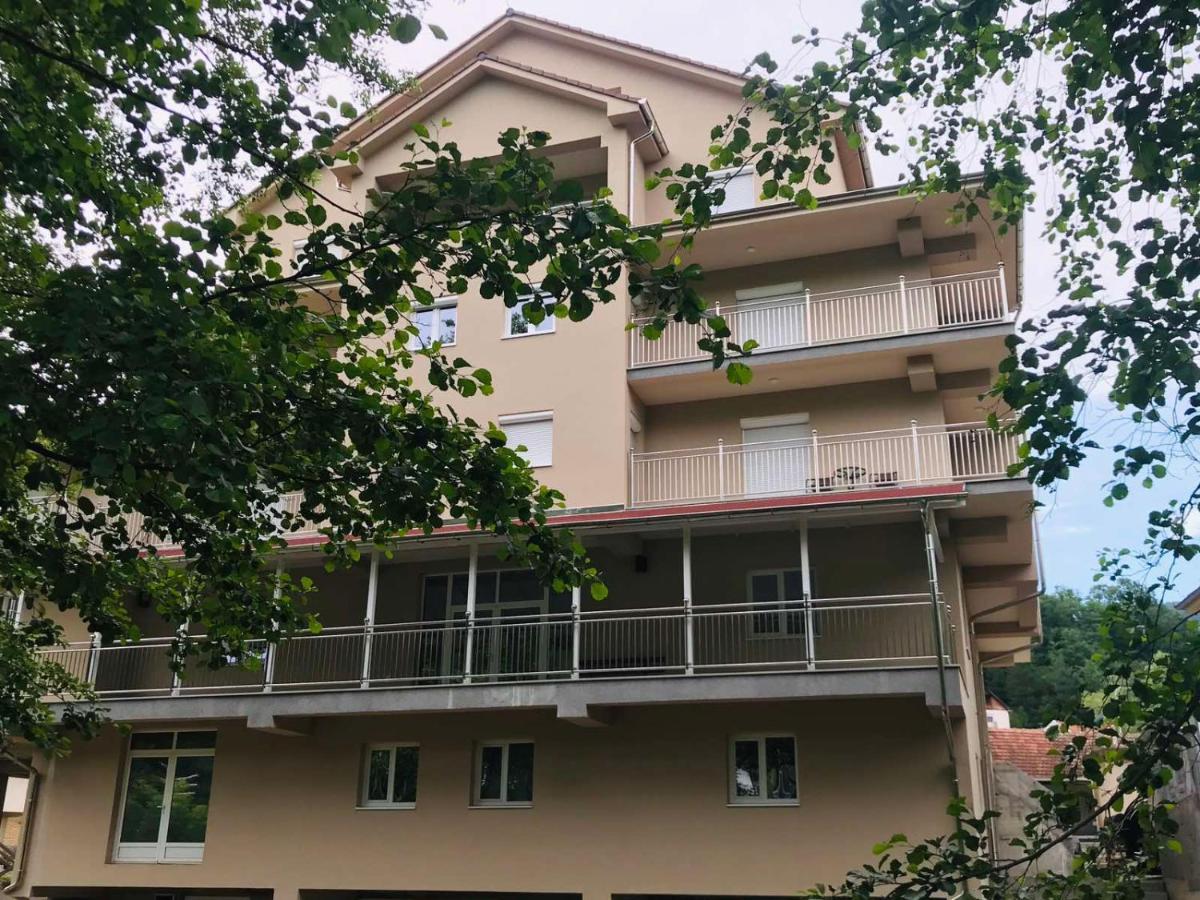 Apartmani & Spa Matin Breg Josanicka Banja Exteriér fotografie